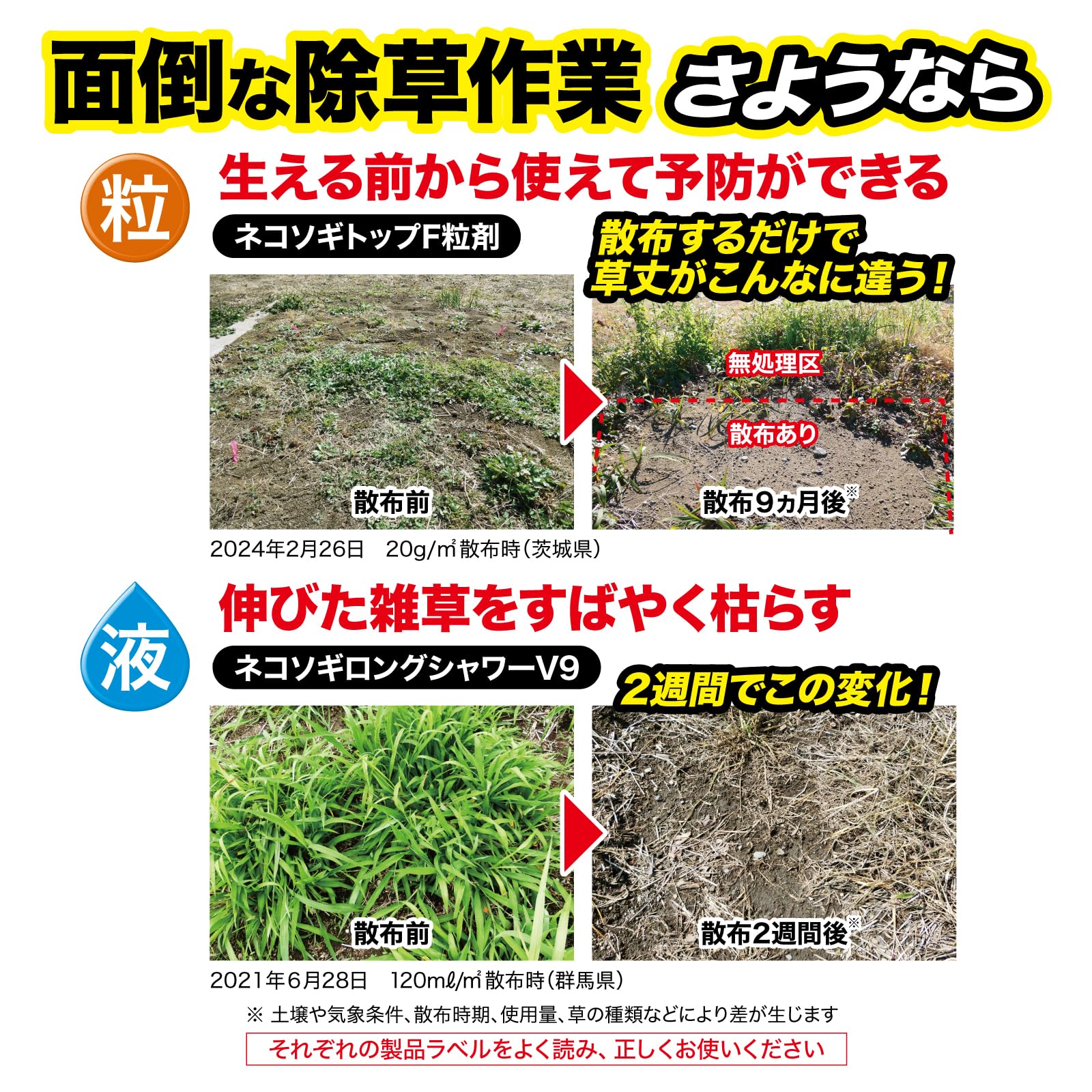 Amazon | レインボー薬品 除草剤 ネコソギトップF粒剤 3kg 長期間持続
